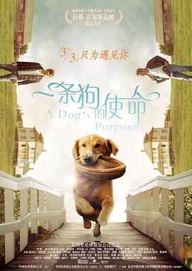 欧美日韩手机在线